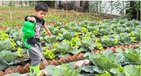 HOMY Garden